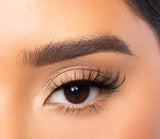 Chic Lashes