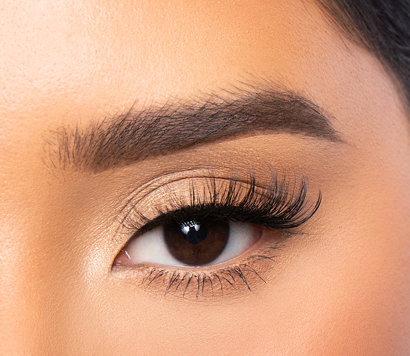 Chic Lashes